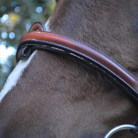 Bridon Flags & Cup Doha Braun Bridon Flags & Cup Doha Braun