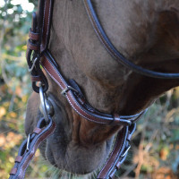 Bridon Flags & Cup Doha Braun Bridon Flags & Cup Doha Braun