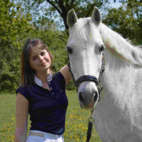 Polo Equithème Brussels mit Strass Marineblau Polo Equithème Brussels mit Strass Marineblau