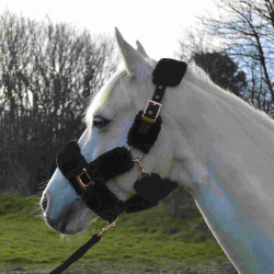 Halfter Equithème Teddy Roségold Halfter Equithème Teddy Roségold