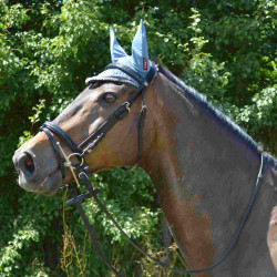 Trensenzaum Canter Schwarz Strass Trensenzaum Canter Schwarz Strass