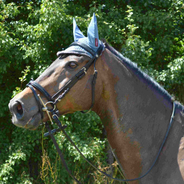 Trensenzaum Canter Schwarz Strass Trensenzaum Canter Schwarz Strass