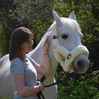 Transporthalfter Flags & Cup Natürlich Braun Transporthalfter Flags & Cup Natürlich Braun