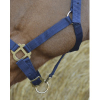 Erstes Halfter Marineblau