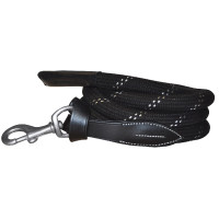 Lange Zügel Canter weiße...