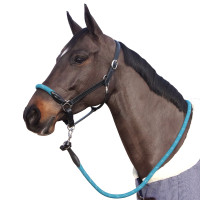Licol corde Canter boucles blanches Noir / émeraude