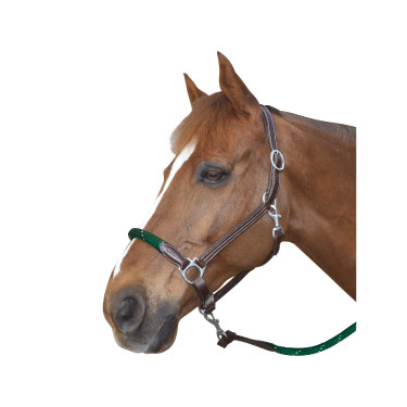 Knotenhalfter Canter weiße Schnallen Knotenhalfter Canter weiße Schnallen