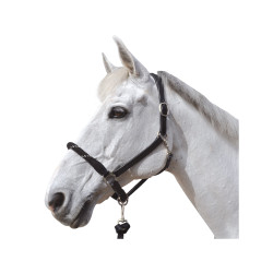 Knotenhalfter Canter weiße Schnallen Knotenhalfter Canter weiße Schnallen
