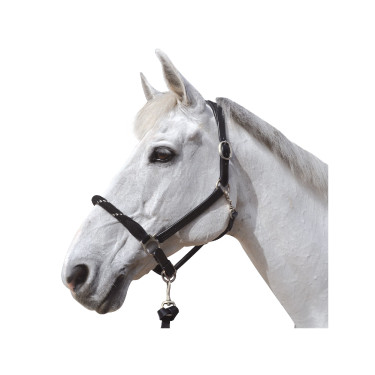Knotenhalfter Canter weiße Schnallen Knotenhalfter Canter weiße Schnallen