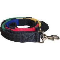 Bildungszügel mit Karabinern Canter Blau / Grün / Gelb / Rot