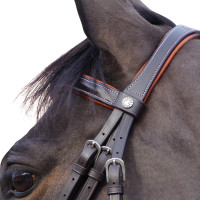 Trensenzaum Canter Alme Braun Trensenzaum Canter Alme Braun