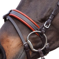 Trensenzaum Canter Alme Braun Trensenzaum Canter Alme Braun