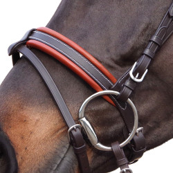 Trensenzaum Canter Alme Braun