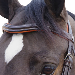 Trensenzaum Canter Alme Braun