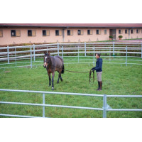 Galvanisierter runder...