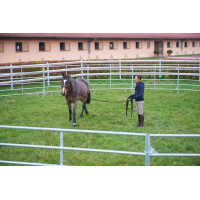 Galvanisierter runder...