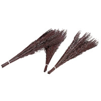 Birkenbündel La Gée Birkenbündel La Gée