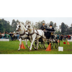 La Gée Fahrkegel- und Kugel-Set