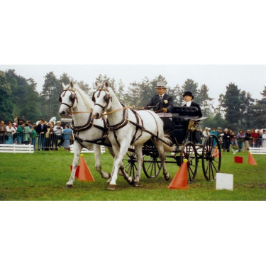 La Gée Fahrkegel- und Kugel-Set