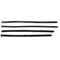 Sporenriemen Riding World...