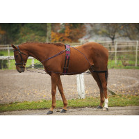 Norton Flaschenzugsystem Norton Flaschenzugsystem