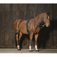 Norton Flaschenzugsystem Norton Flaschenzugsystem