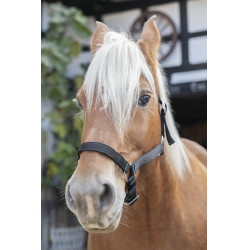 Halfter Norton Kaltblut Halfter Norton Kaltblut