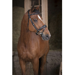 Bridon Norton Pro Soft Schwarz Bridon Norton Pro Soft Schwarz