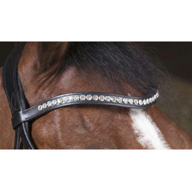 Trensenzaum Norton Pro Strass Trensenzaum Norton Pro Strass