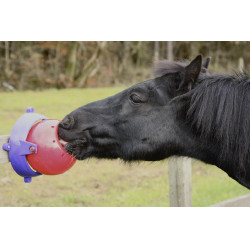 Salzleckstein-Spiel Tongue Twister Likit Rot Salzleckstein-Spiel Tongue Twister Likit Rot