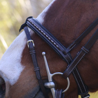 Trense Pénélope Point Sellier Schwarz