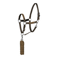 Set aus Halfter und Führstrick Chicago Horze Braun / Bronze