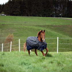 Trensenzaum Carlisle Horze mit Strass Trensenzaum Carlisle Horze mit Strass