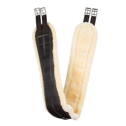 Gemischter Gurt Schaf Atlanta Gemischter Gurt Schaf Atlanta