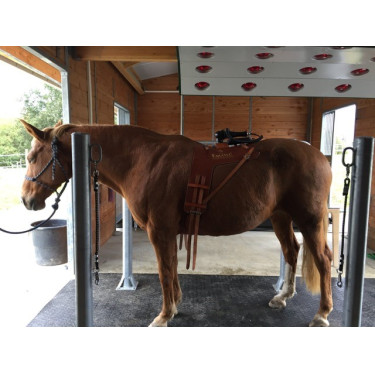 Delta Diam 16 mm Puzzle - Allée, Van et Camion