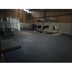 Dalle de box Apollon