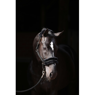 Halfter Classic Soft Covalliero Schwarz
