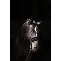Halfter Classic Soft Covalliero Schwarz