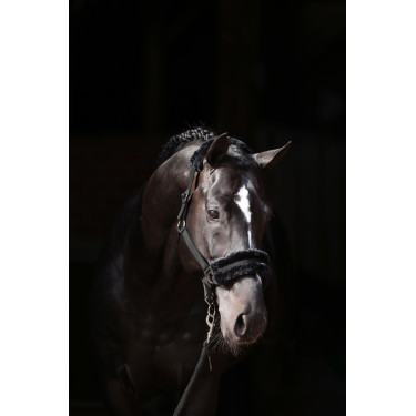 Halfter Classic Soft Covalliero Schwarz