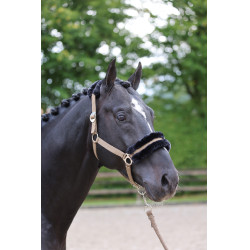 Halfter Classic Soft Covalliero Halfter Classic Soft Covalliero