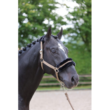 Halfter Classic Soft Covalliero Halfter Classic Soft Covalliero