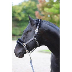 Halfter Classic Soft Covalliero Stein Grau