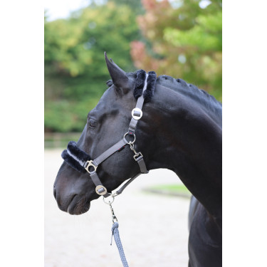 Halfter Classic Soft Covalliero Stein Grau
