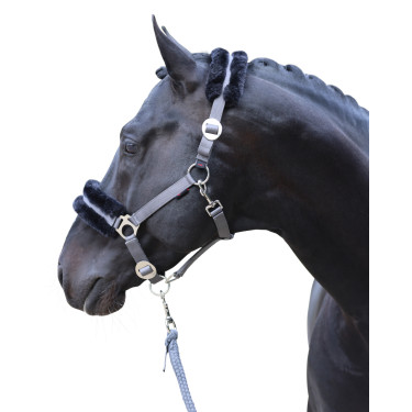 Halfter Classic Soft Covalliero Stein Grau