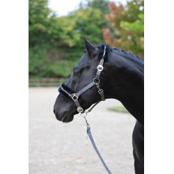 Halfter Classic Soft Covalliero Stein Grau