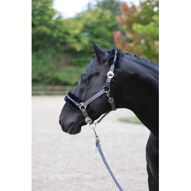 Halfter Classic Soft Covalliero Stein Grau