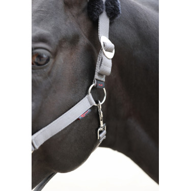 Halfter Classic Soft Covalliero Stein Grau