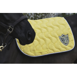 Paddock Sports Ursprung Schabracke