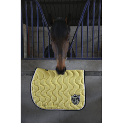 Paddock Sports Ursprung Schabracke Paddock Sports Ursprung Schabracke
