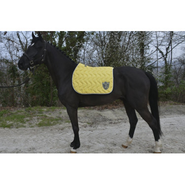 Paddock Sports Ursprung Schabracke Paddock Sports Ursprung Schabracke